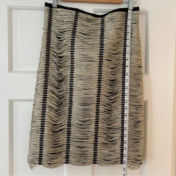 Erica Tanov metallic striped midi skirt - Picture 9 of 10